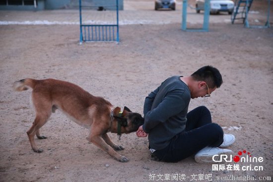 我宁愿对狗好，也不想再对你好了