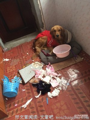 如果能用钱买到你就好了，那我就可以彻底忘记你了