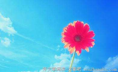 最经典的茨威格15句经典名言