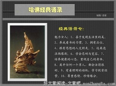 最经典的《风雨哈佛路》经典语句