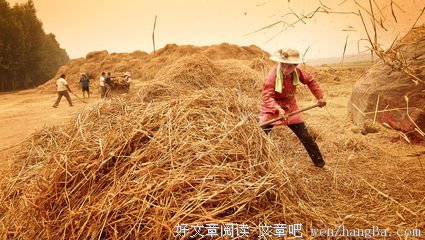 关于李绅的名句摘抄