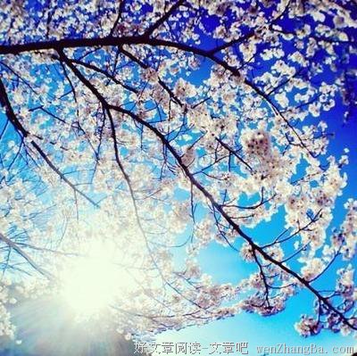 席慕容最美19句话，第几句感动了你？