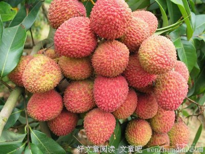关于杨贵妃的语句