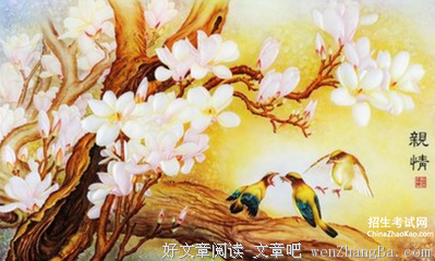 描写多姿多彩的经典句子