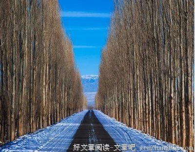 木浮生名言名句