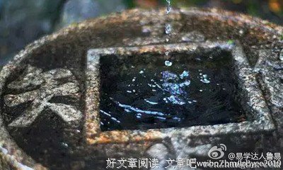 孤独有损你的健康