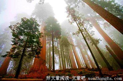 2017蝴蝶名句欣赏