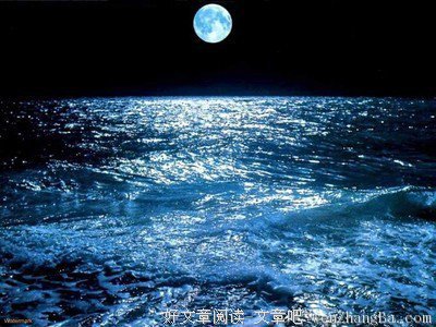 关于杨花的格言