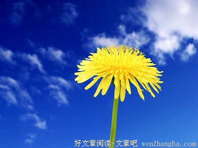 这三种感情，都不能善终