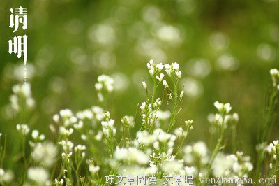 晴好的句子