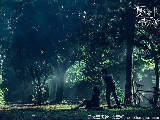 《夏有乔木雅望天堂》小说句子大全