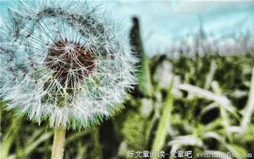 你还能撑多久?