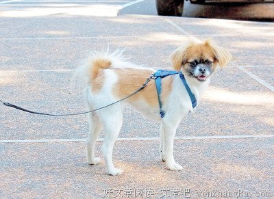 谈谈做自己：人与人，与生俱来的不一样