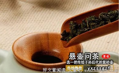 茶道入门，该以一款什么茶器开始？
