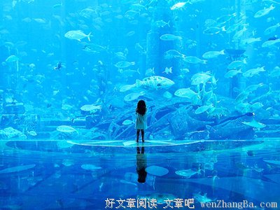 可我还是忘记了你