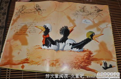 《走夜路请放声歌唱》读后感10篇