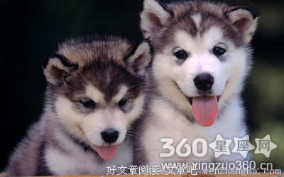 关于花团锦簇的语句