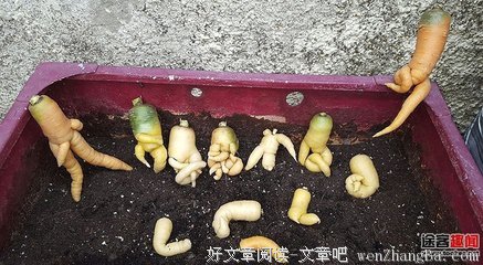 有关别有用心的美句摘抄