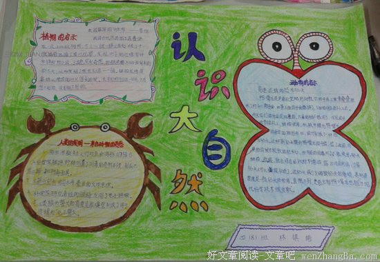 最新的《鸦盲》好段摘抄