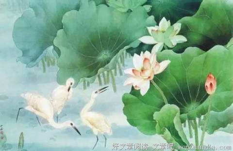 生活的大道是中庸