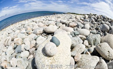为什么那个愿意陪你的人却没能和你走到最后？