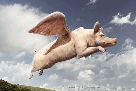 互联网是如何将人变成一只猪的？