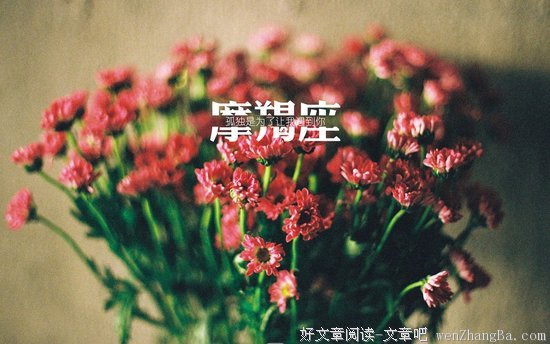 小星机 | 这样爱十二星座就对了 之 摩羯座收割攻略