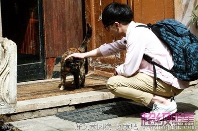 《姐弟恋》的影评10篇