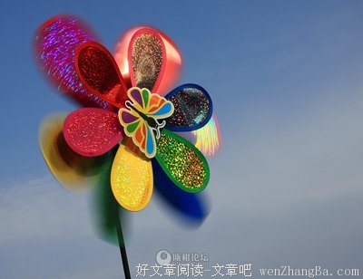 最经典的小志精彩语录