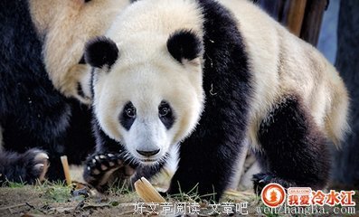 最新的《味道·第一宗罪》语录摘抄