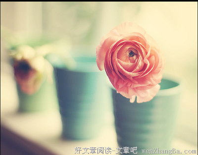 关于发达的唯美语录