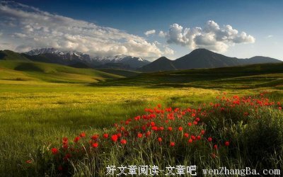 关于大江南北的唯美语录