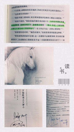 吉米·哈利名言大全