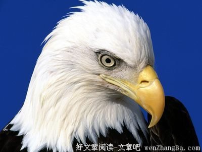 狼吞虎咽格言警句