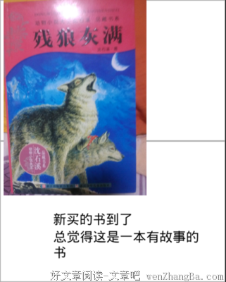 最经典的沈石溪名言名句