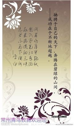 最全的谢楼南精彩语录