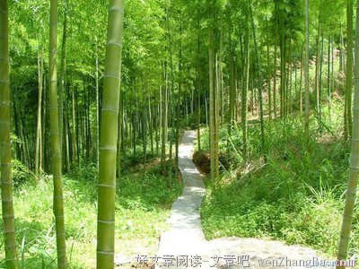 关于自然的名言