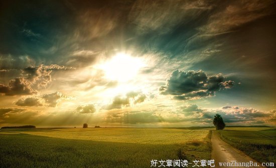 关于精美的格言