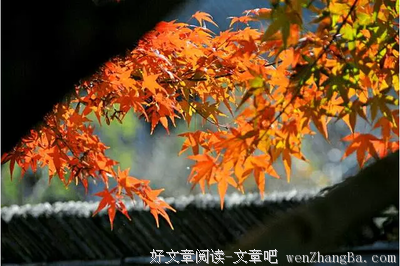 早起三光，晚起三慌