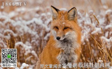 断奶,到底有多难？