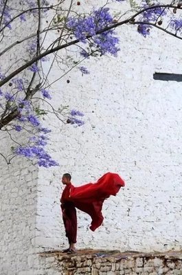 反正人生那么长，没有什么事情很难忘