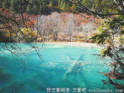 在外15天，拜访了N多人，有了不一样的发现……