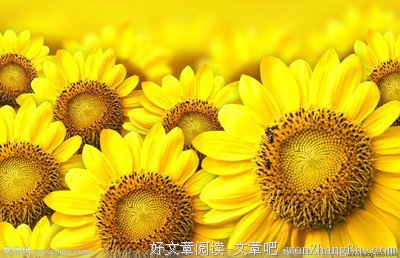 你的人生，总要有那么几次与众不同