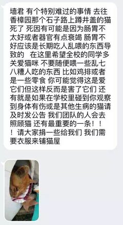 当善良成了愚蠢，人为什么还要善良？这是我见过最好的答案