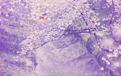 霜天的语句摘抄_关于霜天的语句