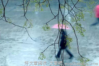 最新的顾漫经典语录