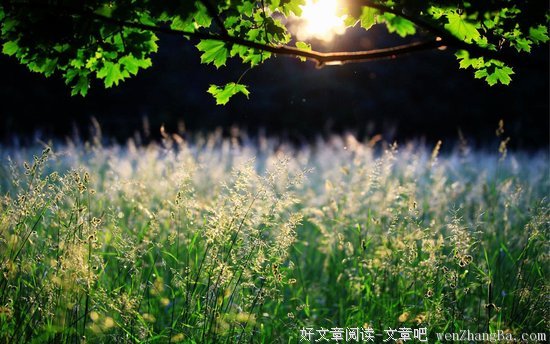 描写百病的经典句子