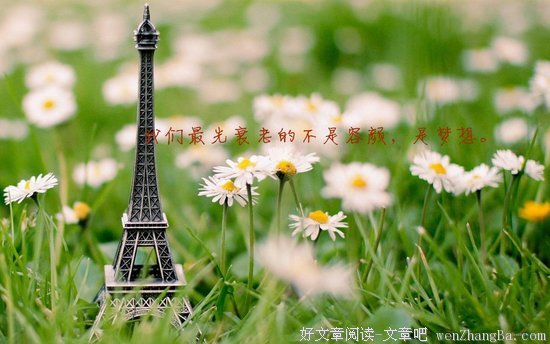 最新的森见登美彦经典语录