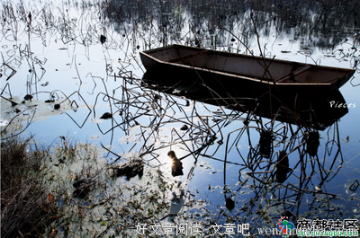 关于郑风的语句