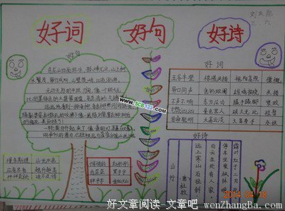 有关夏洛的美句摘抄